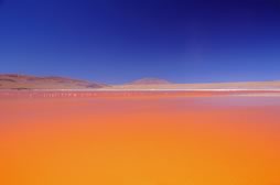 Red Lagoon